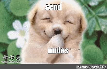 send nudes dog meme|Dog Send Nudes GIF